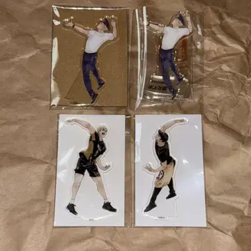 하이큐 미야 오사무 미야 아츠무 키노시타 히사시 아크피