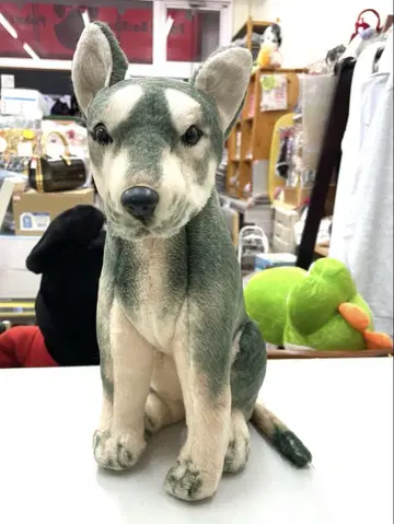 리얼 강아지 봉제 인형 시베리안 허스키 화이트 그레이