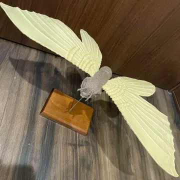 초레어 파라다이스 이노우에아츠 오리지널 모스라 레진 키트 피규어