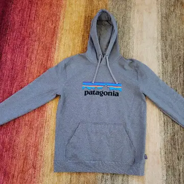 patagonia 속기모 후드 후드티