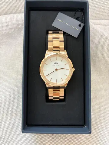 Daniel Wellington 로즈 골드 아날로그 시계