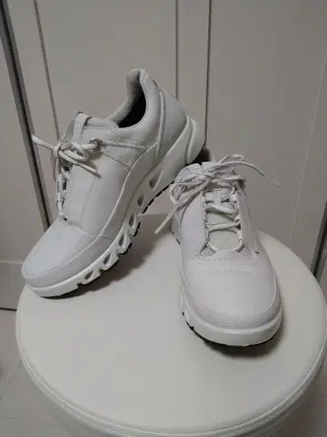 ECCO 에코 스테디셀러 고어텍스 스니커즈 24cm