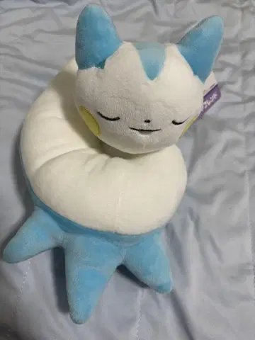 파치리스 포근포근 프렌드 봉제 인형