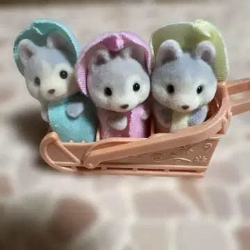 허스키 작은 아기 썰매