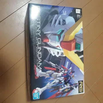 RG DESTINY GUNDAM