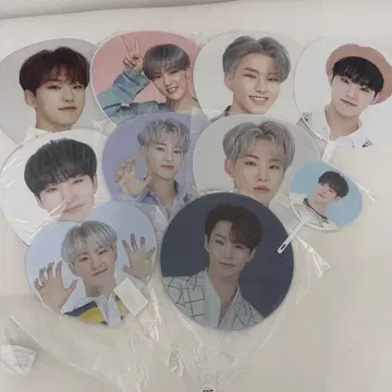 SEVENTEEN 호시 HOSHI 부채 10개 세트