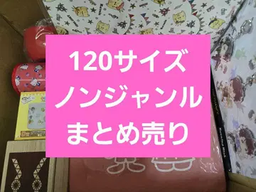 애니메이션 굿즈 등 120 사이즈 논장르 대량 묶음 판매 약 230점