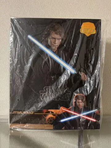 Hot Toys 아나킨 스카이워커 아티산 스타 워즈 1/6