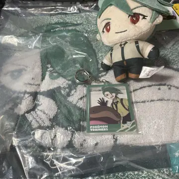 포켓몬 칠리 봉제 인형 아크릴 키링 핸드 타월 굿즈 세트