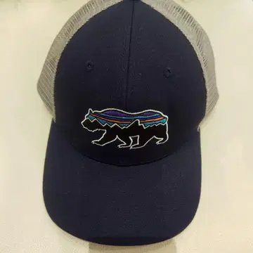 Patagonia