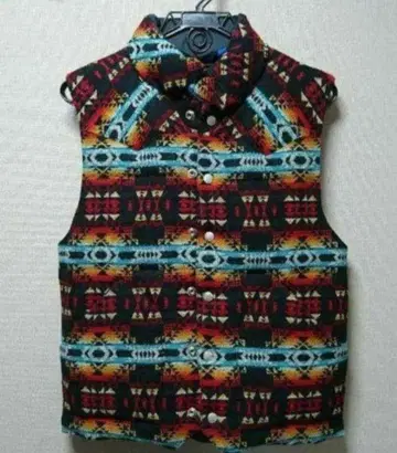 펜들턴 BEAMS 별주 다운 베스트