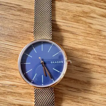 SKAGEN 골드 메쉬 손목시계