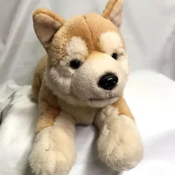 레갈로 REGALO 봉제 인형 시바견