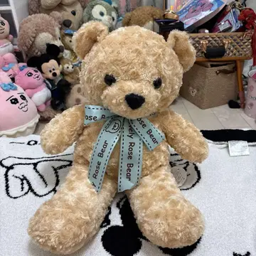Rose Bear 베이지 곰 봉제 인형