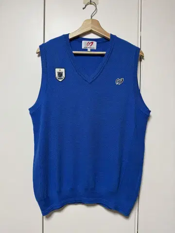 [ MASTER BUNNY EDITION ] 파란색 V넥 베스트