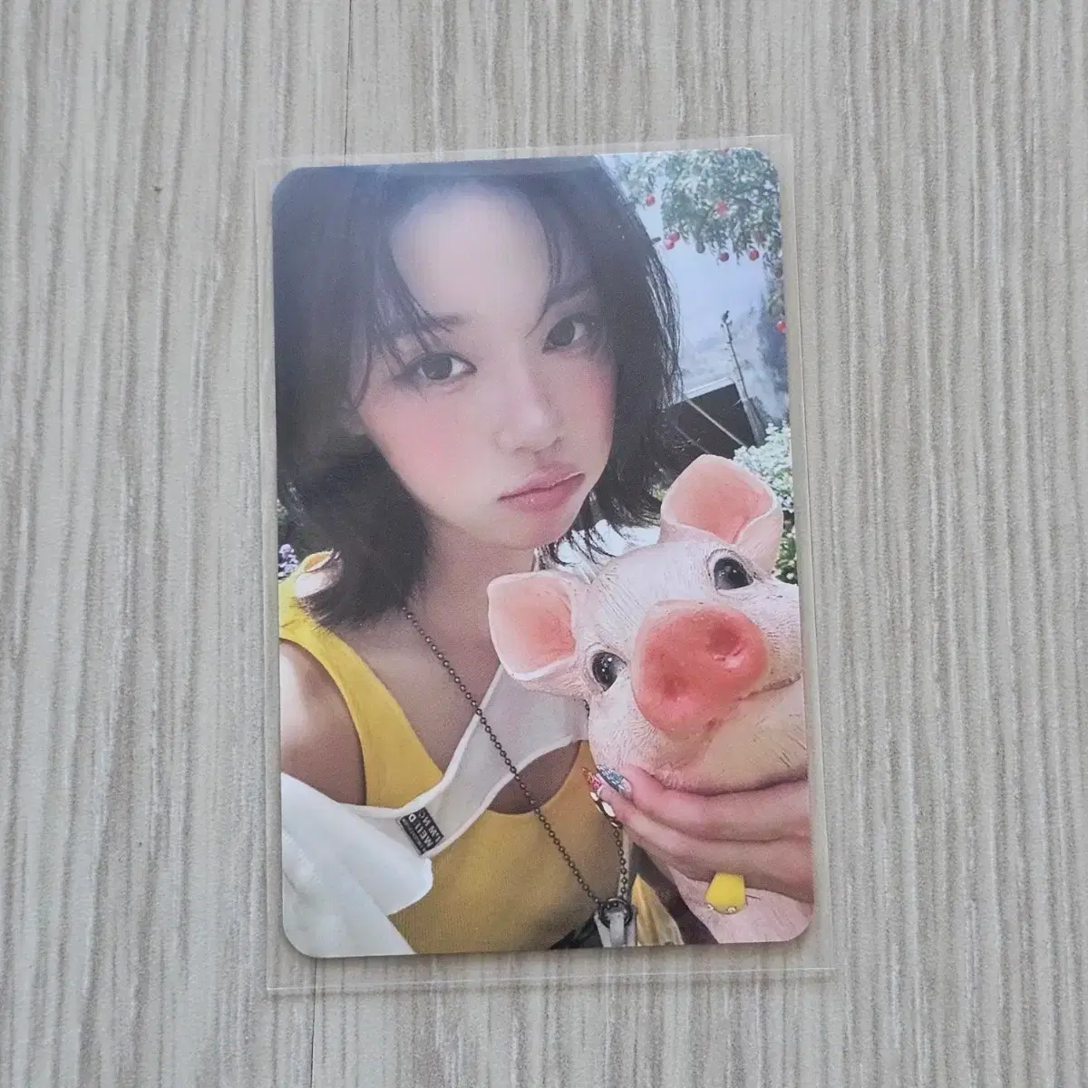 Winter makestar Aespa winter pig poca | Bunjang Global