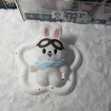 straykids skzoo PILOT 리노