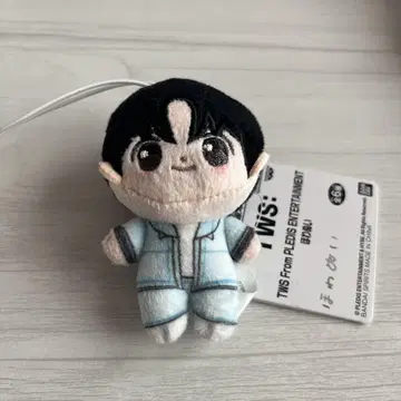 TWS From PLEDIS ENTERTAINMENT 호와누이 한진