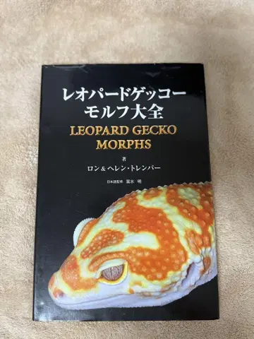 레오파드게코 모프 대전