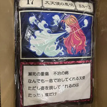 HUNTER x HUNTER 헌터헌터 다이컷 쿠션 2세트