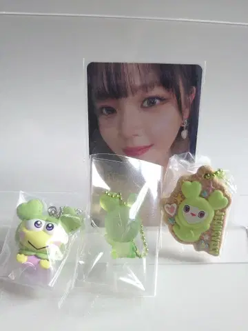 [ JEONGVELY 정블리 ] TWICELOVELYS 산리오 참