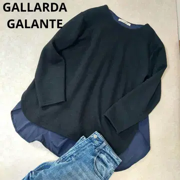 GALLARDA GALANTE 이소재 풀오버 핀턱 블랙