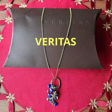ALEXIS BITTAR 목걸이
