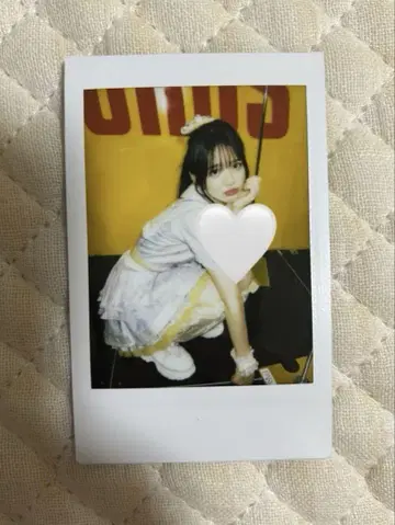 진세이 스즈카 폴라로이드