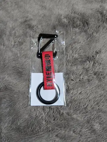 HYDE ZEPP 콜라보 카라비너
