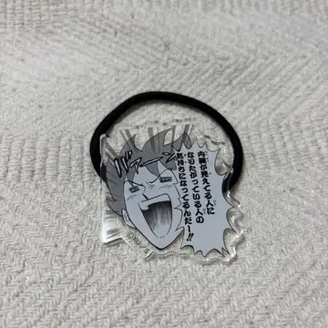 ! 재규어 우스타 쿄스케 월드전 한정판 아크릴 머리끈 험멜