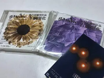 gaudie. 한정판 CD 2장 세트