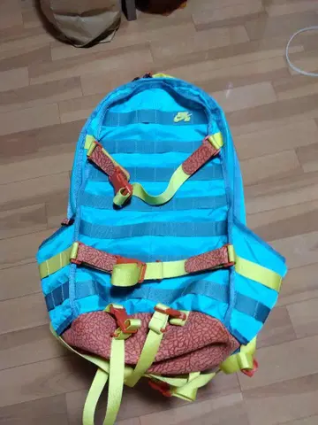 나이키 SB 초기 럭색 레어 컬러 미국 현지 제품