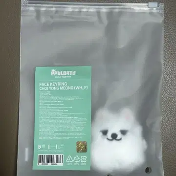 FACE KEYRING 최용