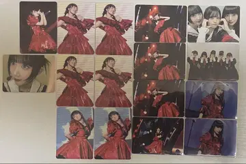 팬텀시타 Moth to aflame 왈츠 트레이딩 카드