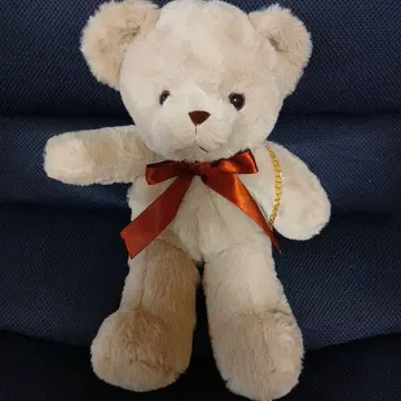 곰돌이 미니백 지퍼 포함
