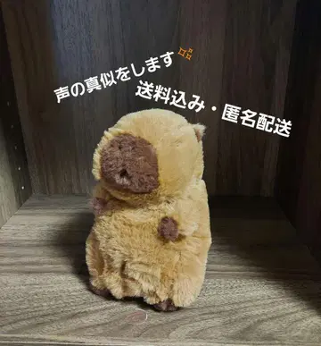 따라쟁이 카피바라 씨