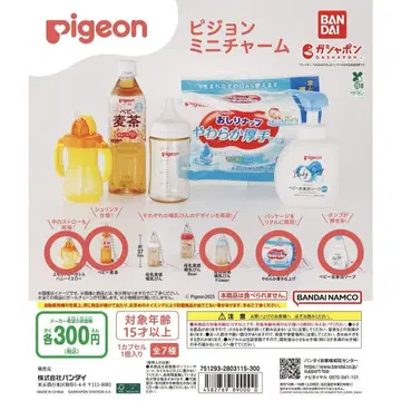 Pigeon 미니 참