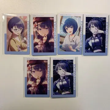 프로세카 에피카 키리타니 하루카 금박