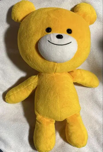 부르봉 프티 곰 봉제 인형