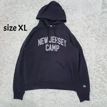 챔피온 칼리지 로고 후드티 페이드