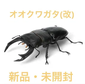 새상품 오오쿠와가타(개조) 생물 대도감 사슴벌레 09 캡슐판