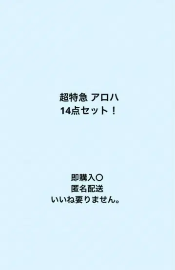 초특급 알로하
