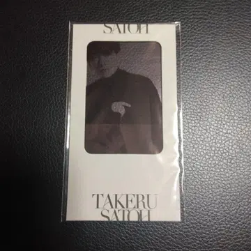 사토 타케루 NOVELTY LOOK BOOK CARD