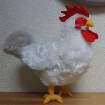 닭 & 백봉오골계 봉제 인형