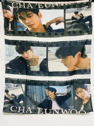 CHA EUNWOO 태피스트리 필름풍 포스터 은우