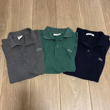 LACOSTE 피케 셔츠 3종 세트