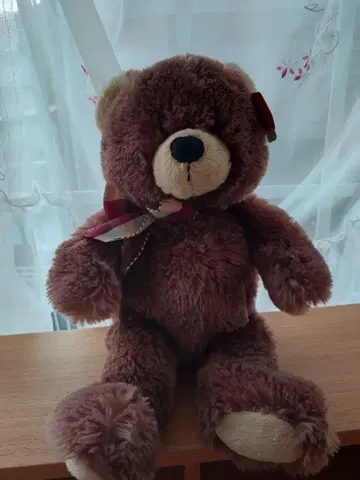 GUND 곰돌이 테디베어