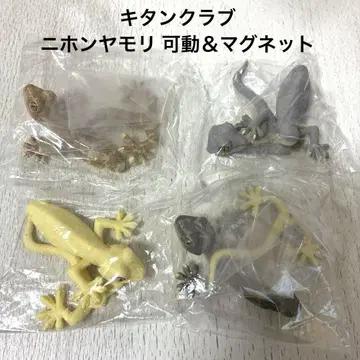 키탄클럽 일본 도마뱀 가동&마그넷 묶음 판매