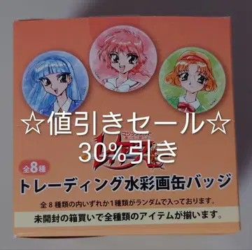 마법기사 레이어스 트레이딩 수채화 캔뱃지