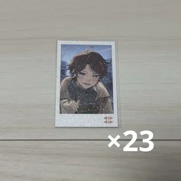 사에구사 아키나 폴라로이드